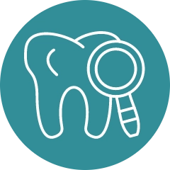 Dental Checkup